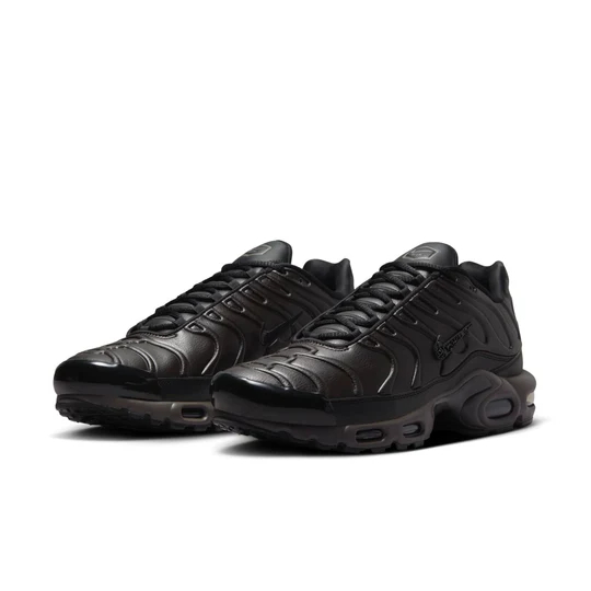 Nike Air Max Plus Premium 'Black Tea Petra Brown' HJ4519-200