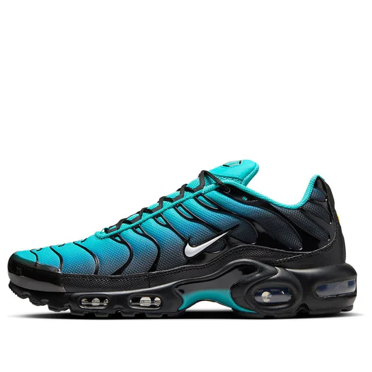 Nike Air Max Plus 'Light Retro Blue' DM0032-401