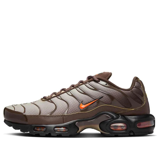 Nike Air Max Plus 'Brown Orange' DM0032-200