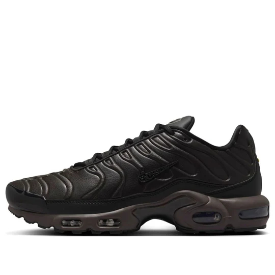 Nike Air Max Plus Premium 'Black Tea Petra Brown' HJ4519-200