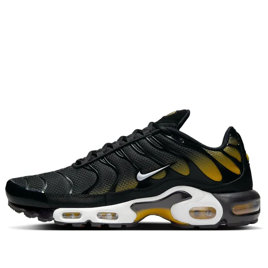 Nike Air Max Plus 'Black University Gold' DM0032-013