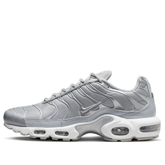 Nike Air Max Plus 'Metallic Silver' FJ1012-095