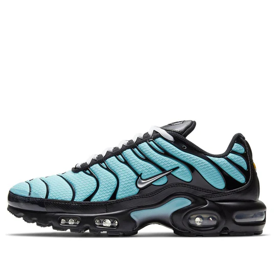 Nike Air Max Plus 'Aqua Silver' CV8838-400