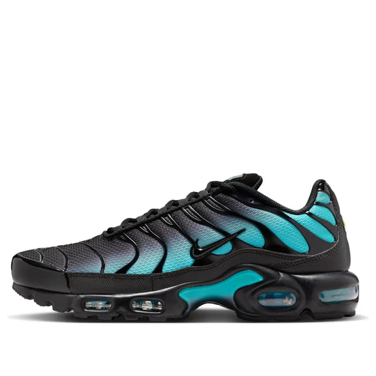 Nike Air Max Plus 'Black Dusty Cactus' DM0032-016