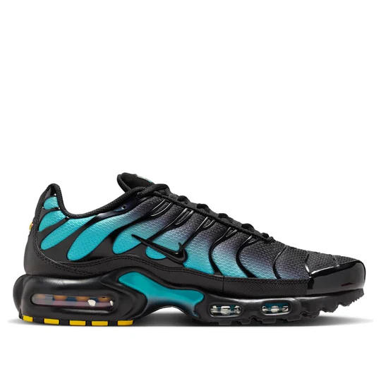 Nike Air Max Plus 'Black Dusty Cactus' DM0032-016
