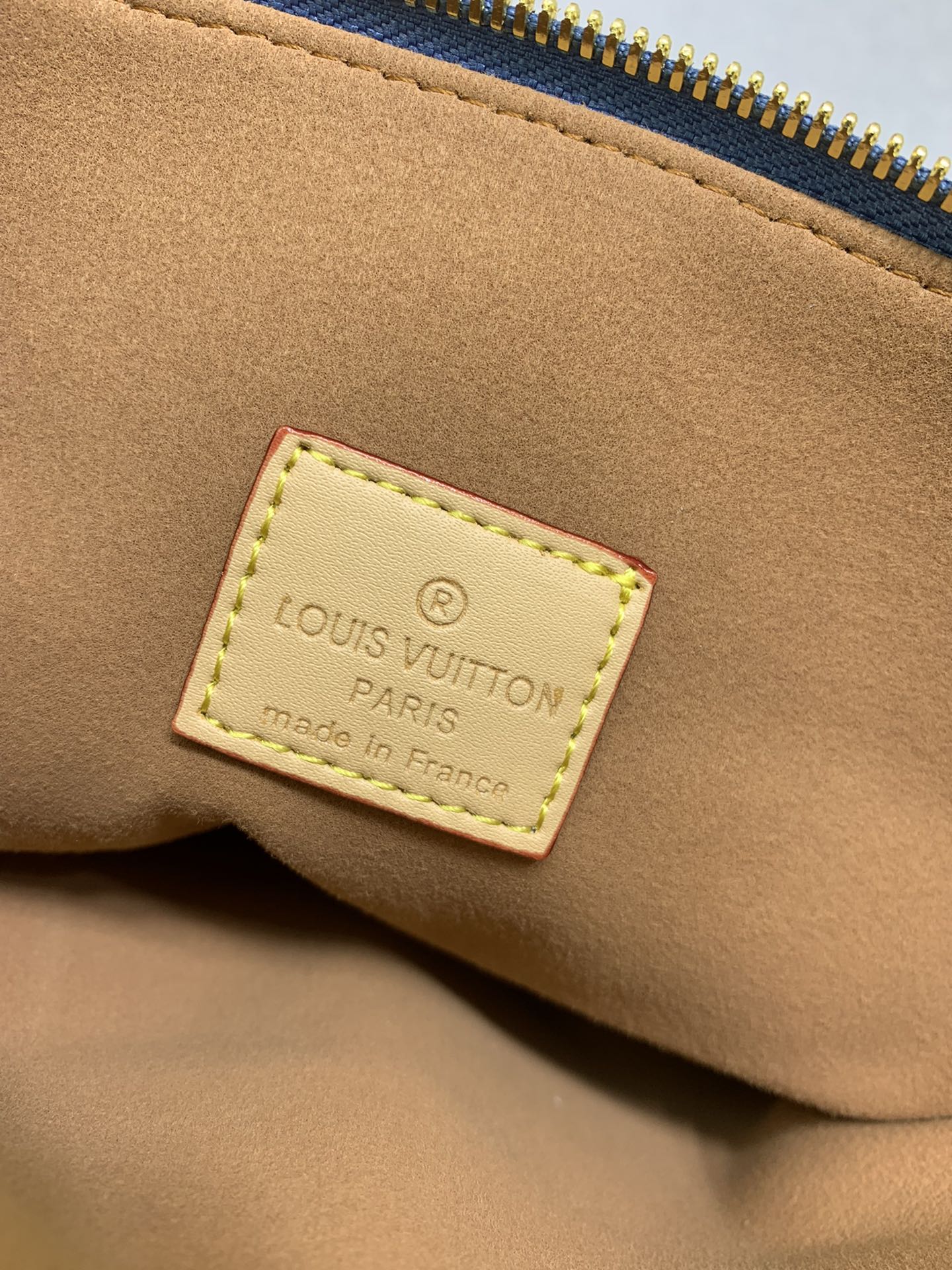 Louis Vuitton LV Coussin small bag
