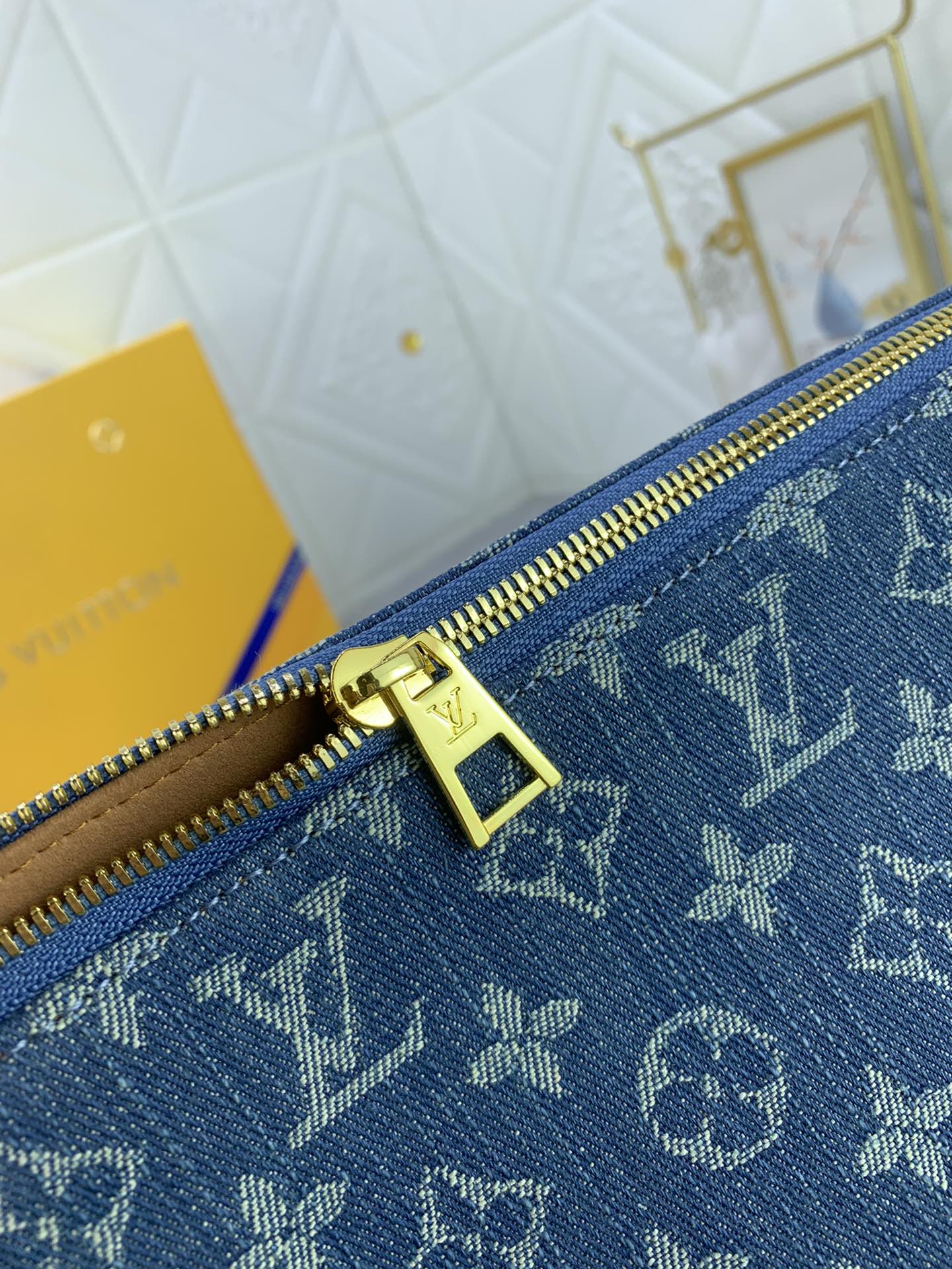 Louis Vuitton LV Coussin small bag