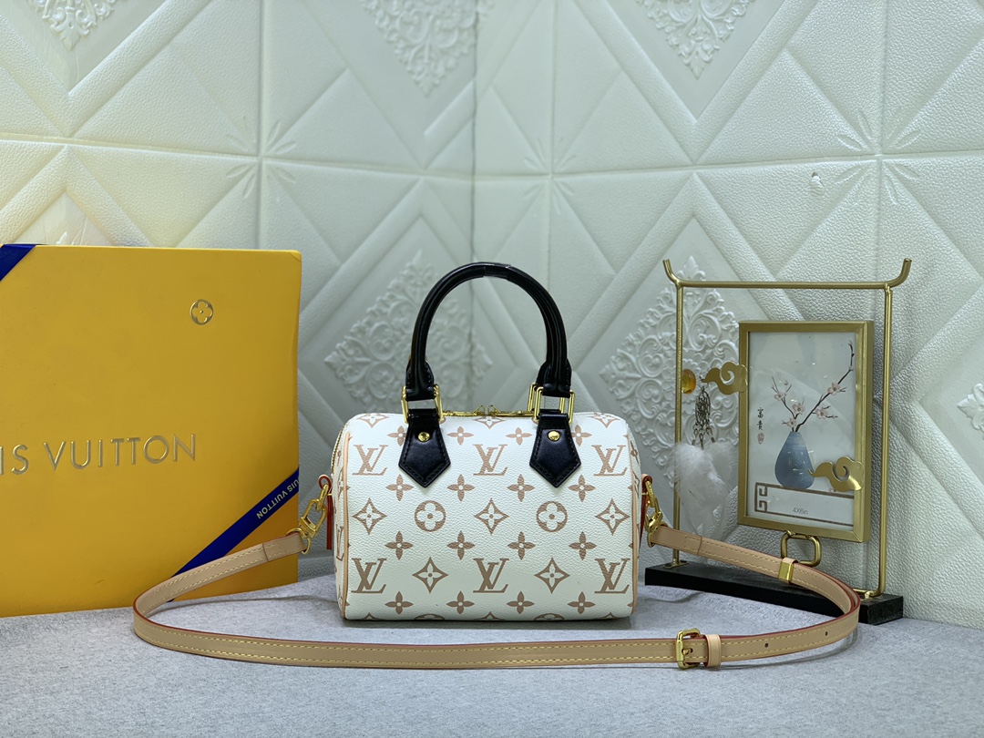 LOUIS VUITTON LV SPEEDY BANDOULIÈRE 20 BAG