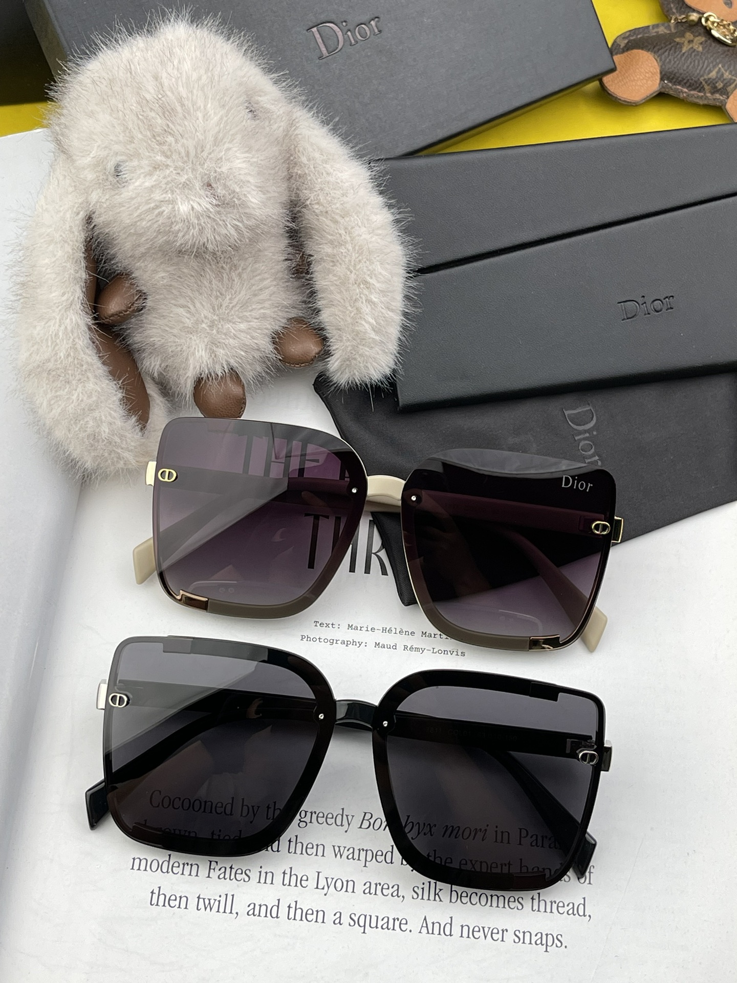 DIOR Sunglasses