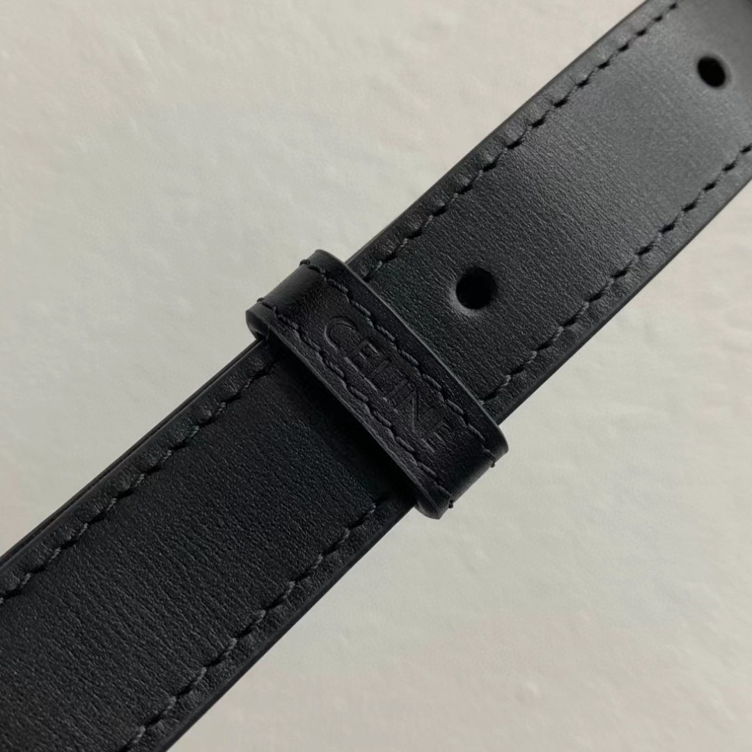 CELINE triomphe bags