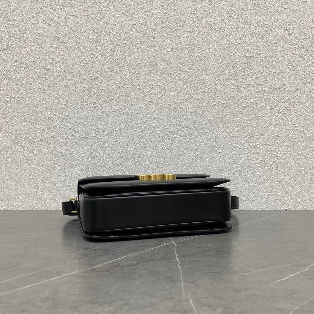 CELINE triomphe bags