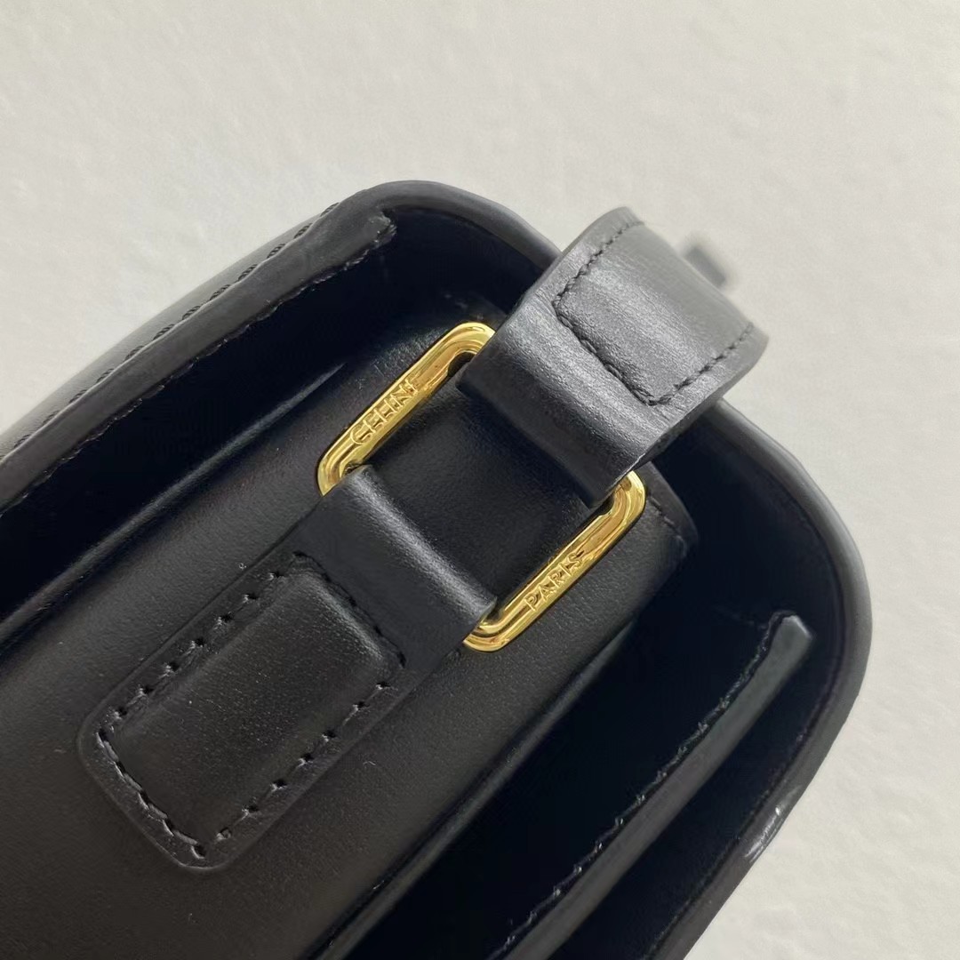 CELINE triomphe bags