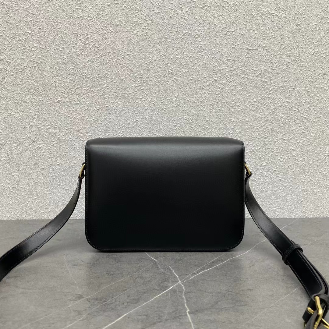 CELINE triomphe bags