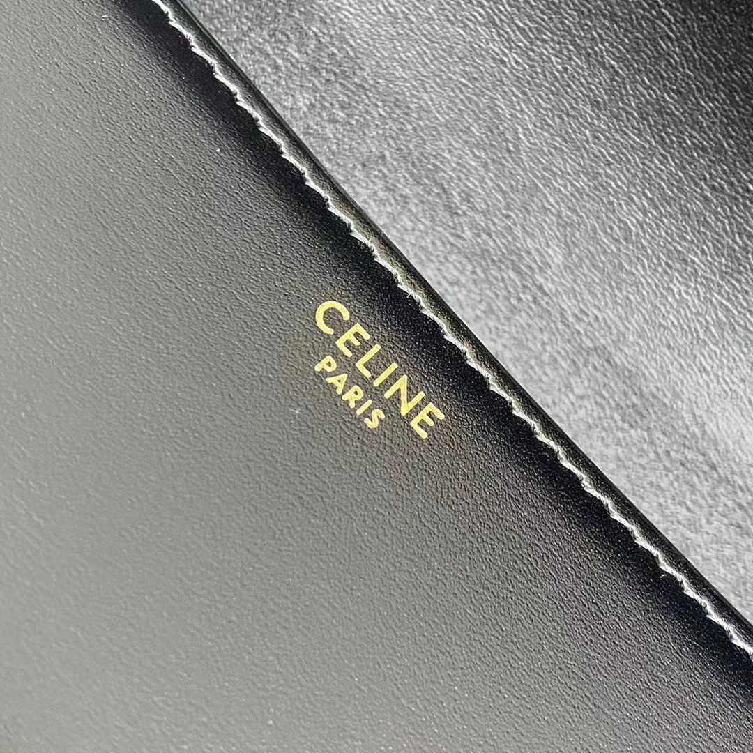 CELINE triomphe bags