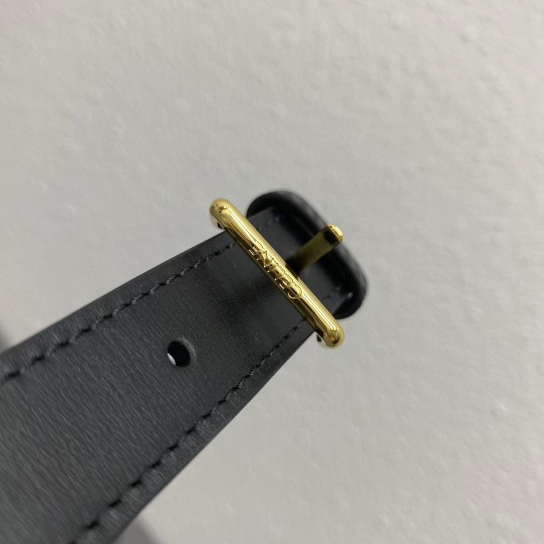 CELINE triomphe bags