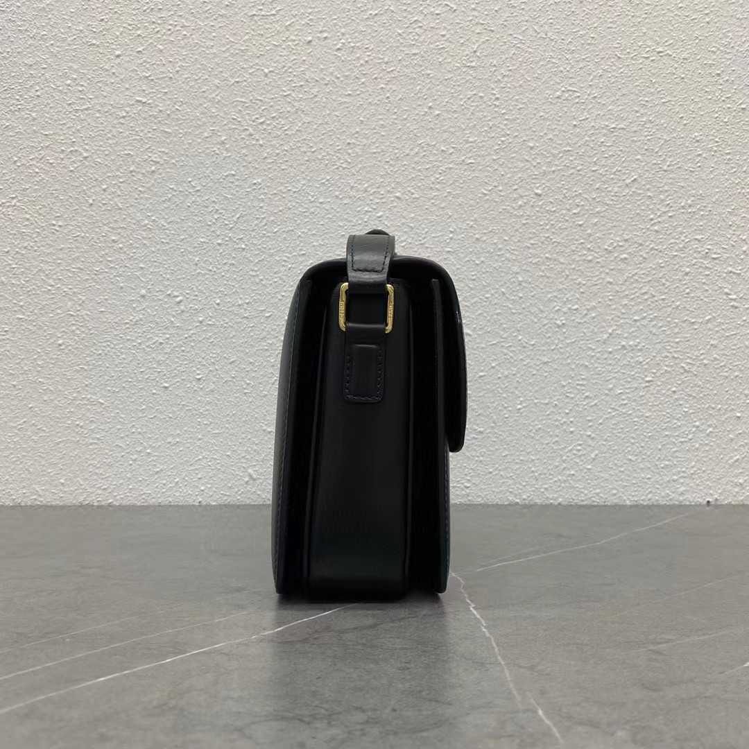 CELINE triomphe bags