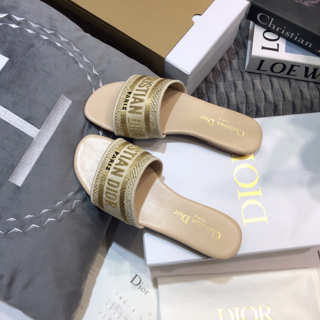 DIOR SLIDES
