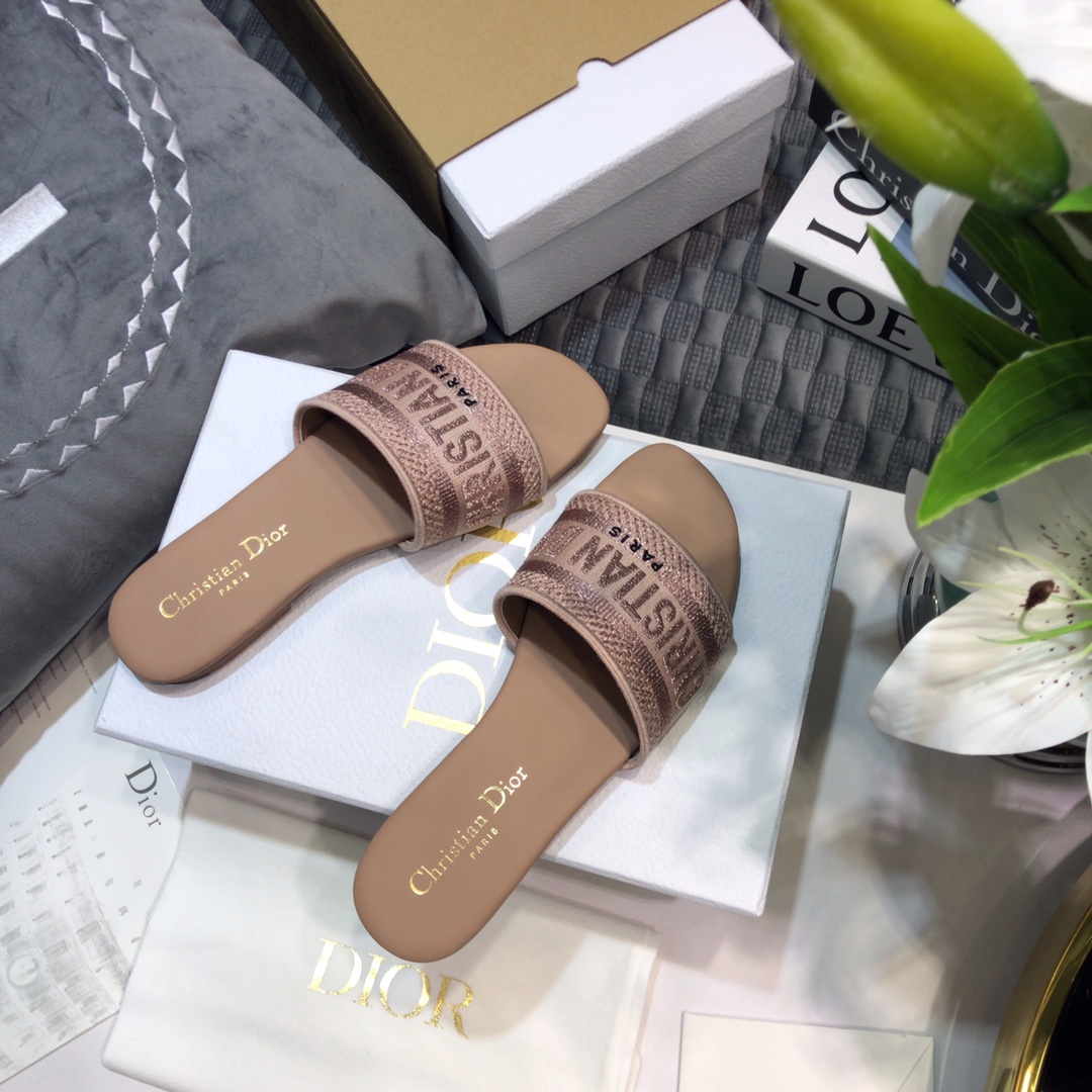 DIOR SLIDES