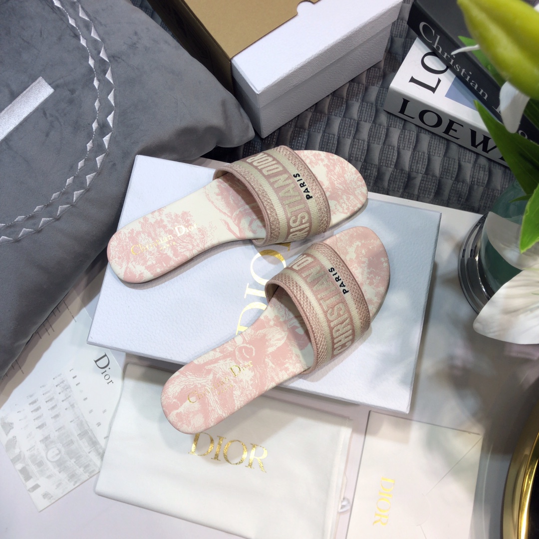 DIOR SLIDES