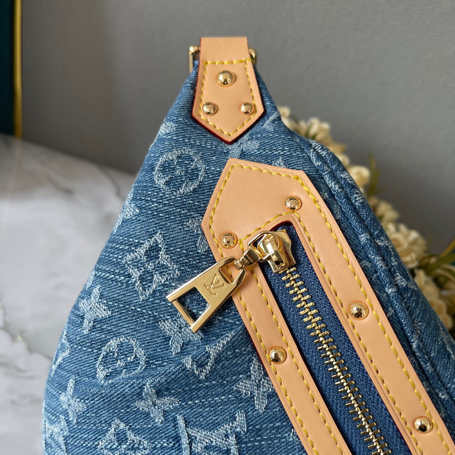 Louis Vuitton Bag