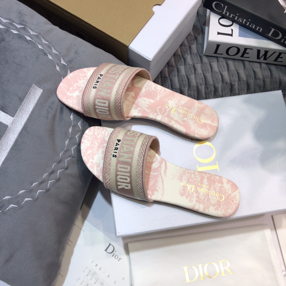DIOR SLIDES