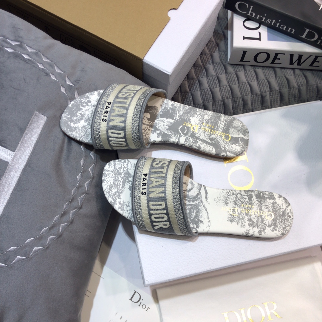 DIOR SLIDES