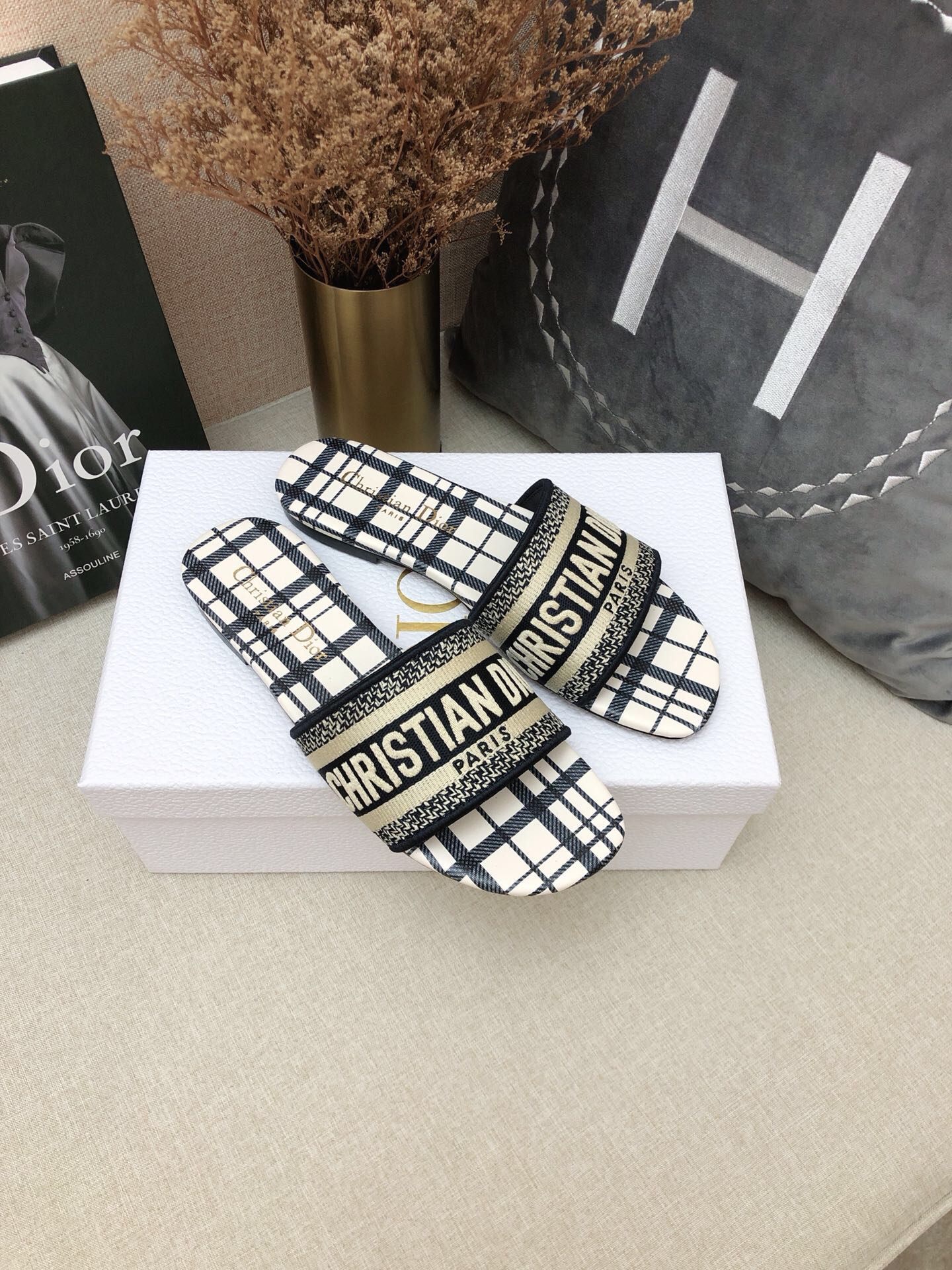 DIOR SLIDES
