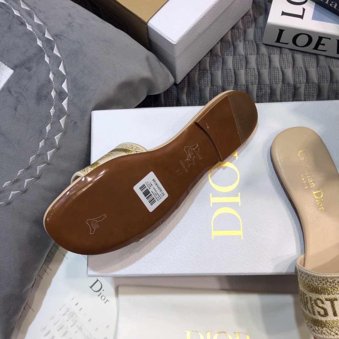 DIOR SLIDES