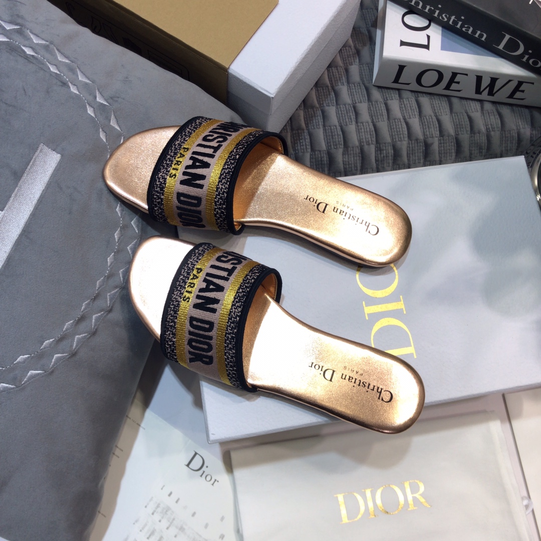 DIOR SLIDES