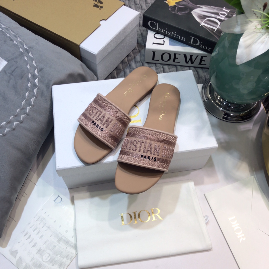 DIOR SLIDES