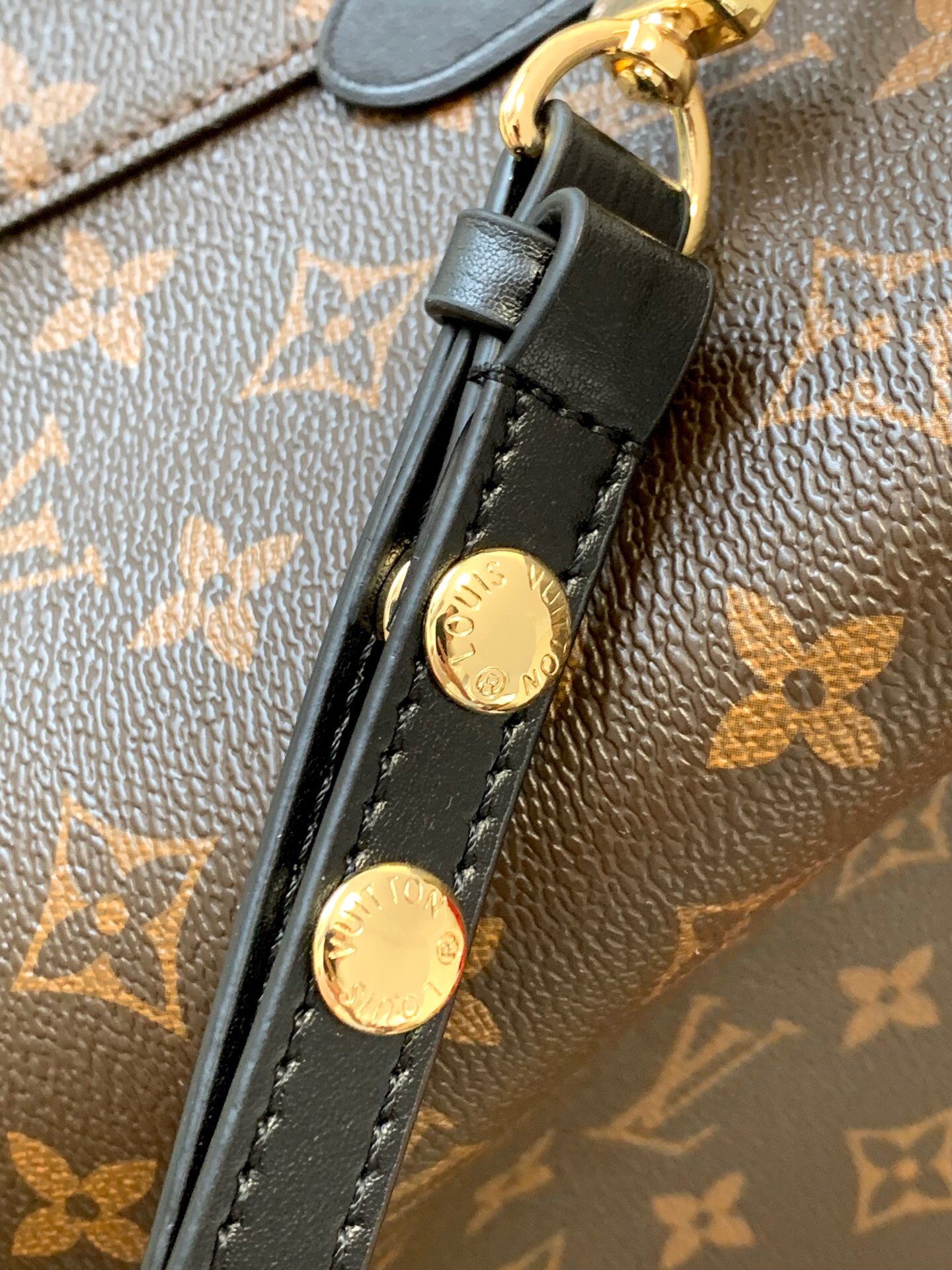 Louis Vuitton Bag