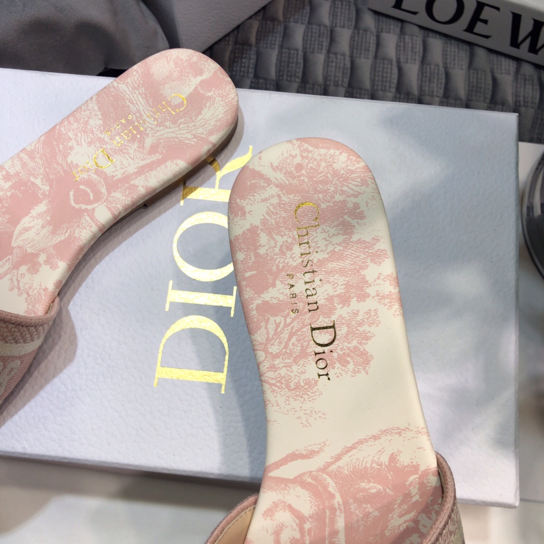 DIOR SLIDES