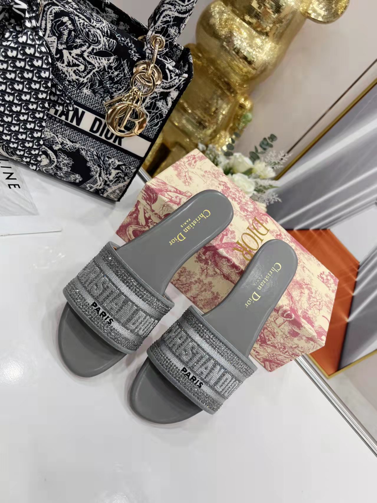 DIOR SLIDES