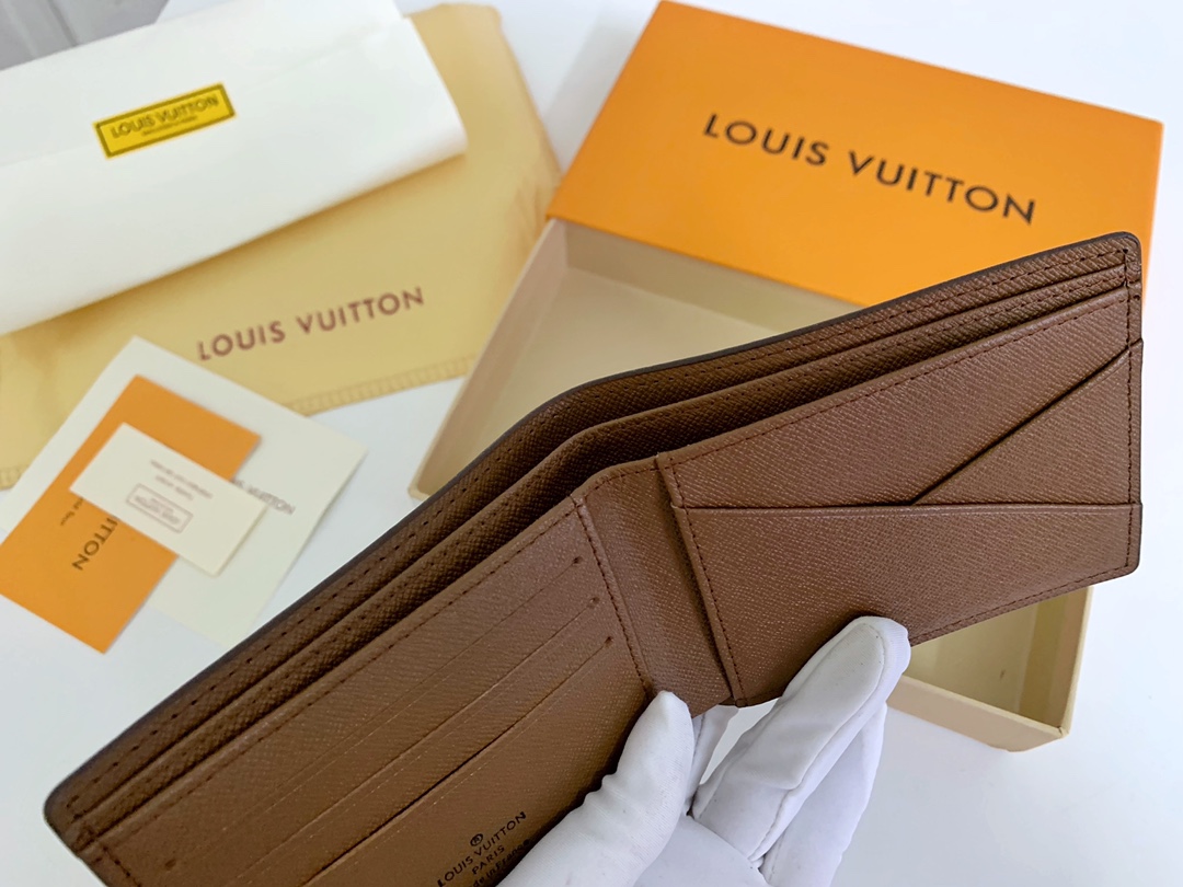 Louis Vuitton  MULTIPLE Wallet