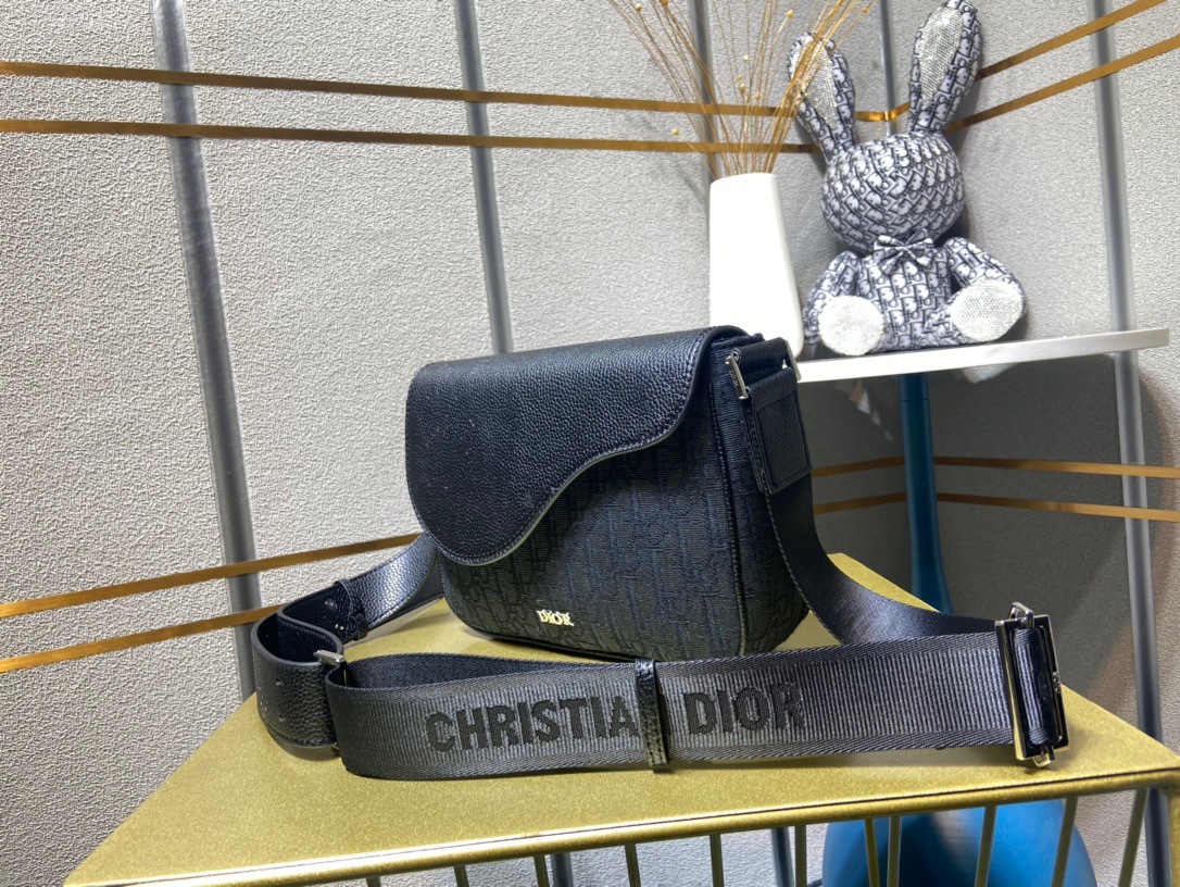 DIOR CD SADDLE BAG