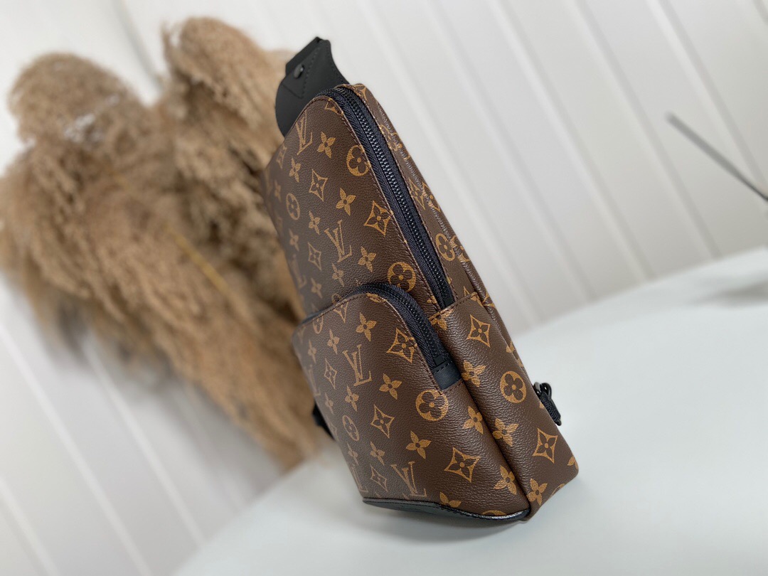 Louis Vuitton Bag