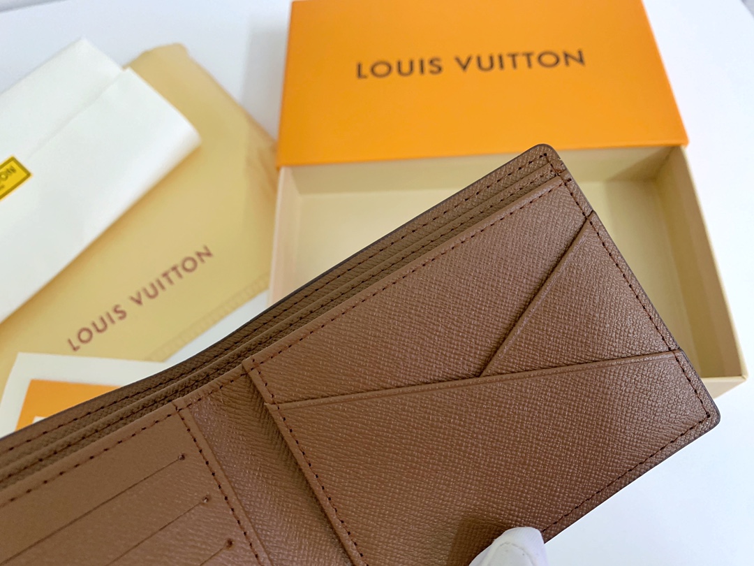 Louis Vuitton  MULTIPLE Wallet