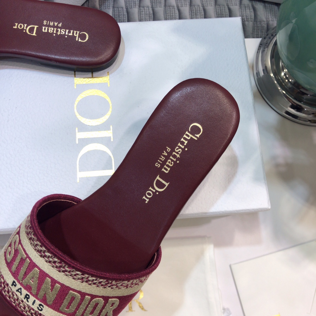 DIOR SLIDES