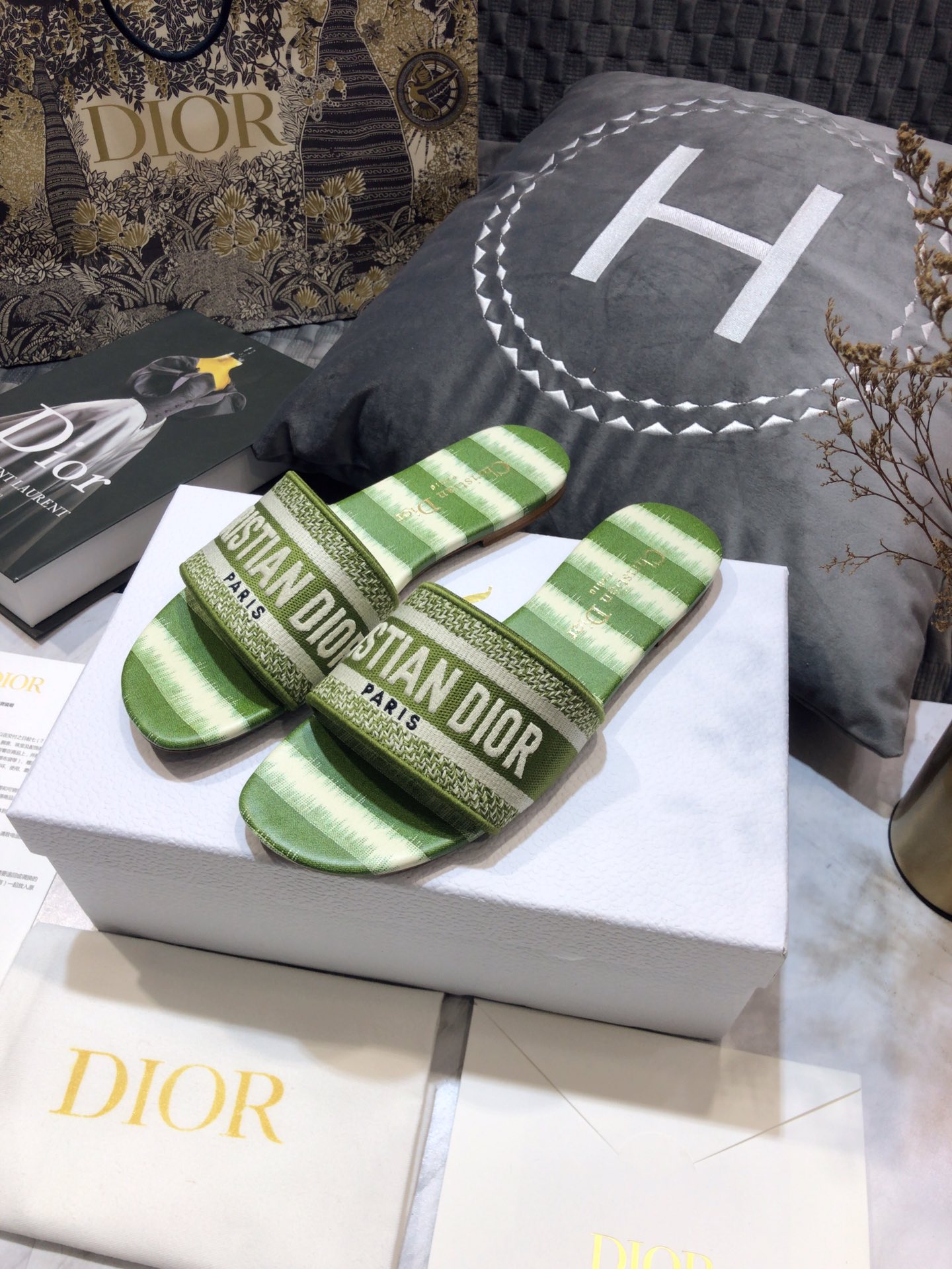 DIOR SLIDES