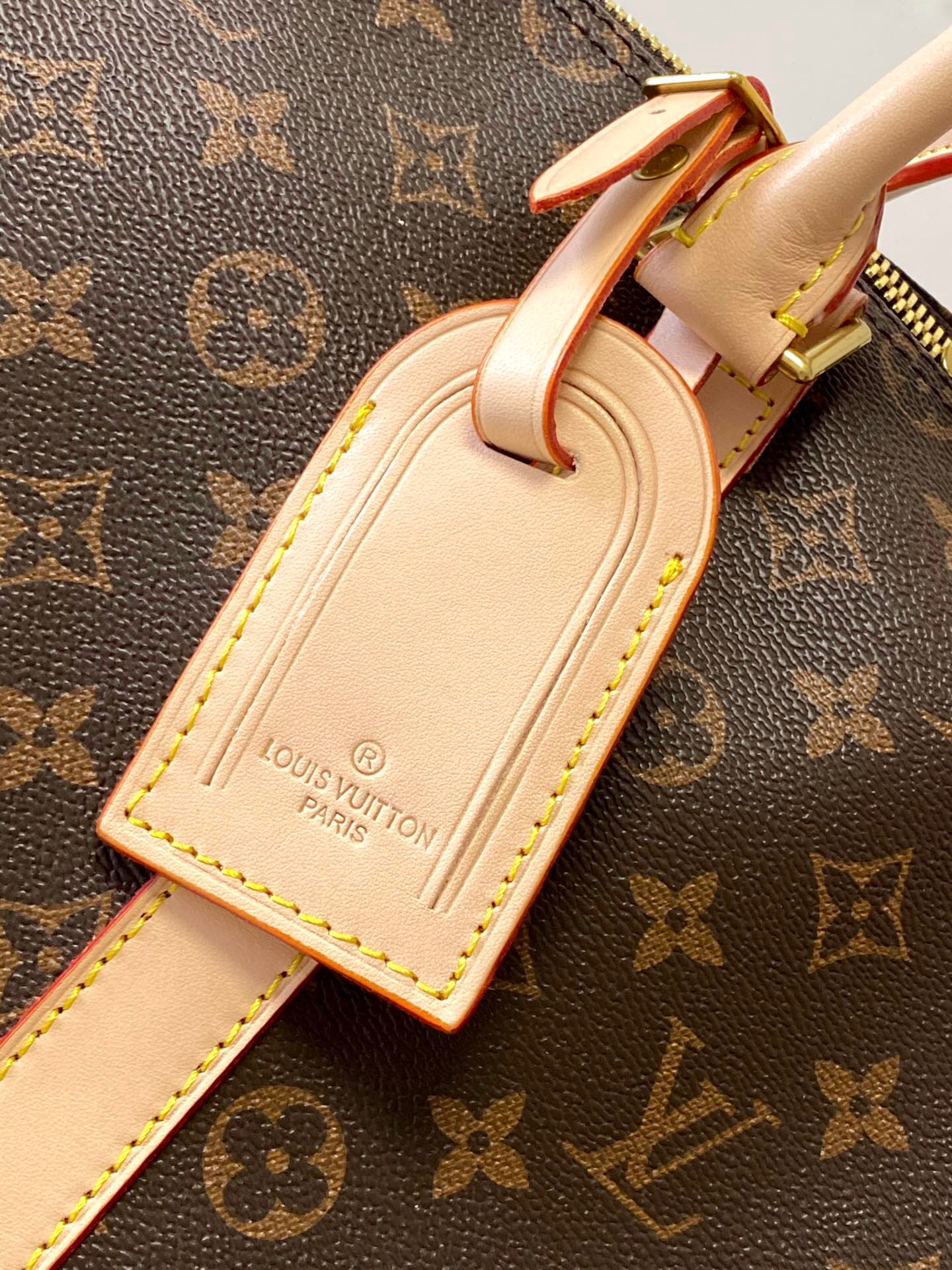 Louis Vuitton Bag