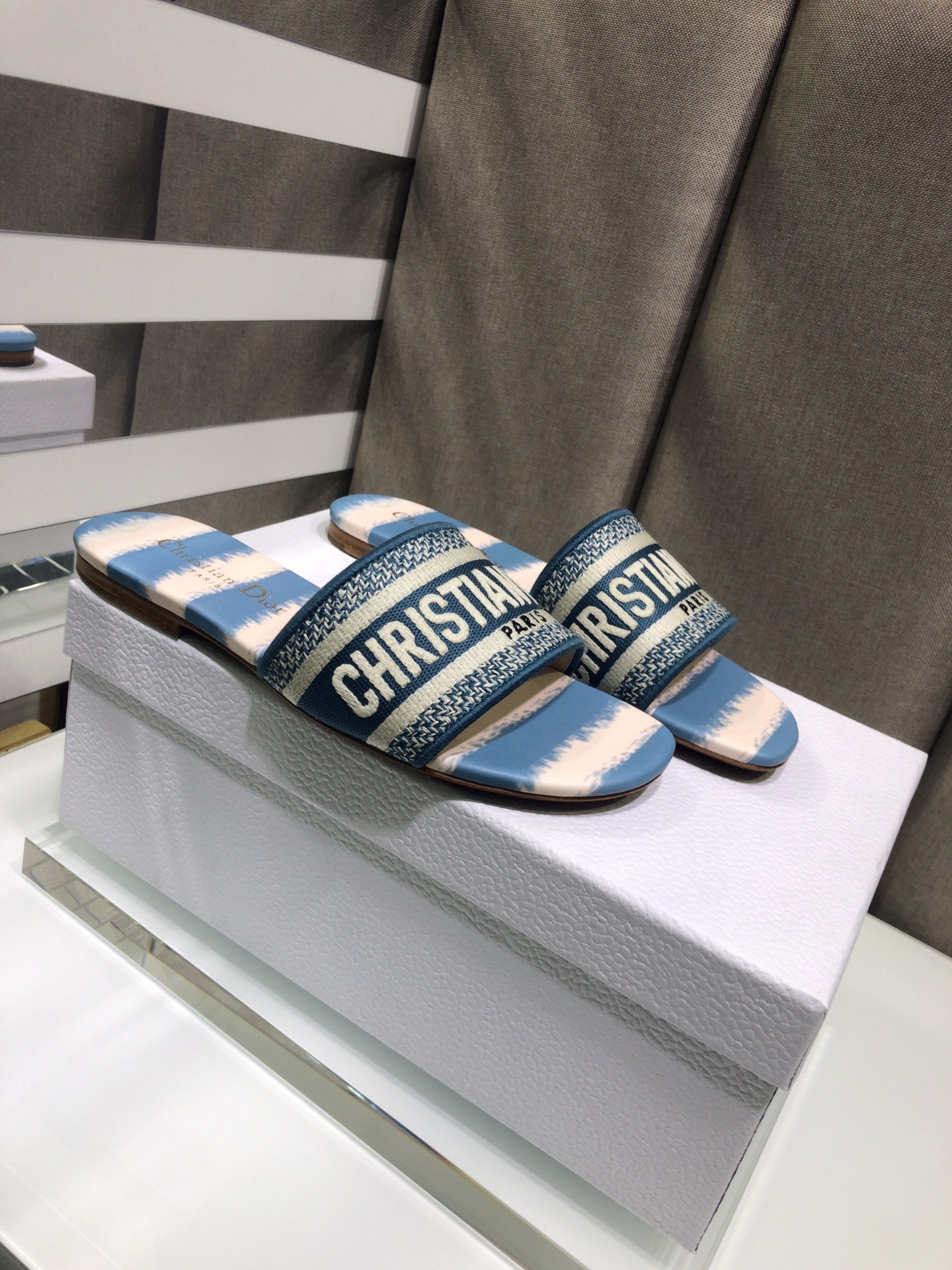 DIOR SLIDES