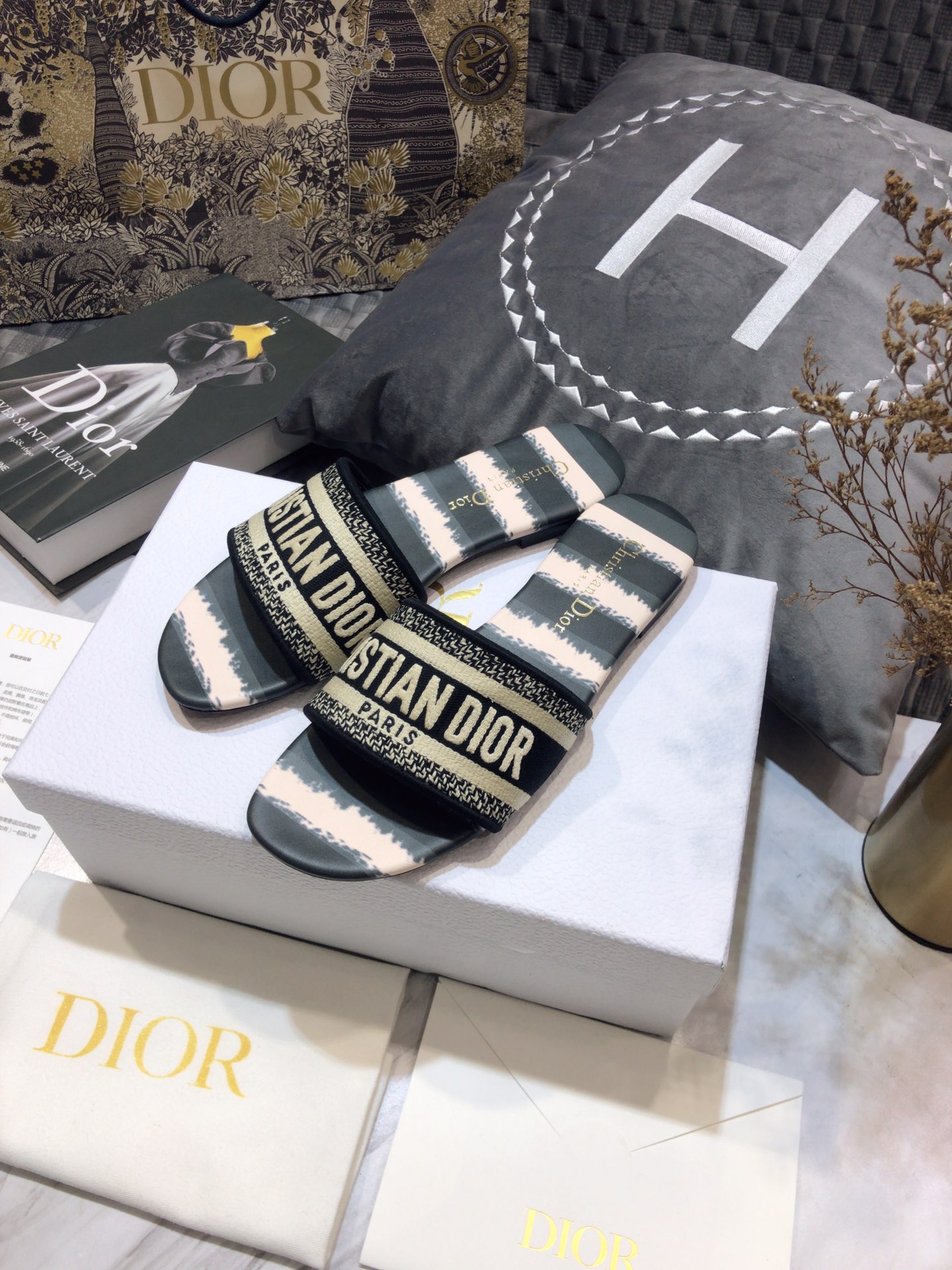 DIOR SLIDES