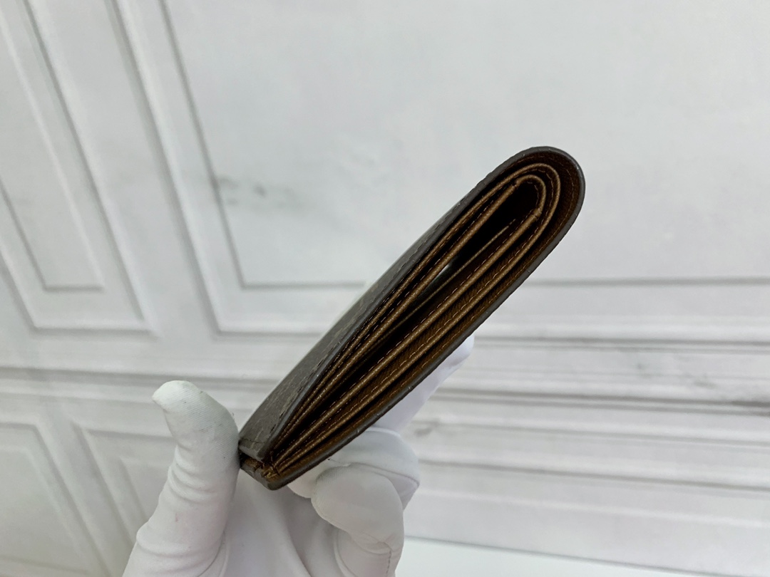 Louis Vuitton  MULTIPLE Wallet