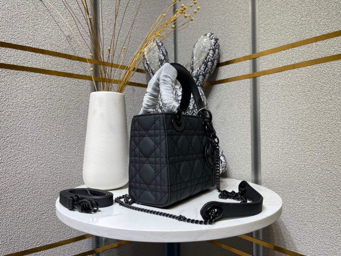 DIOR BAG