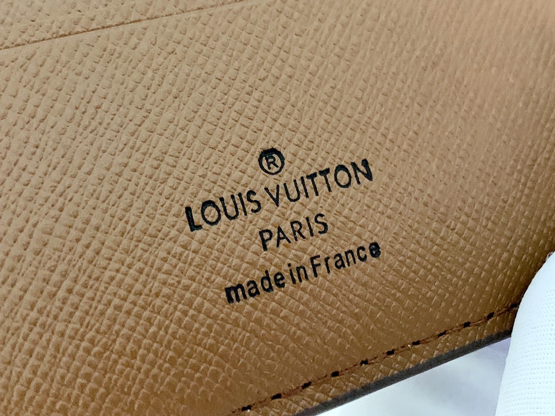 Louis Vuitton  MULTIPLE Wallet