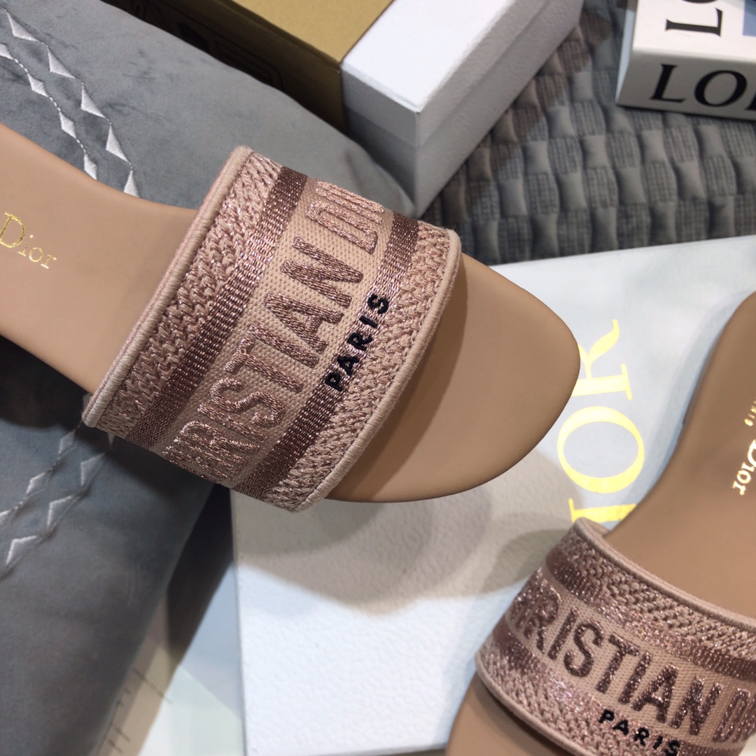 DIOR SLIDES