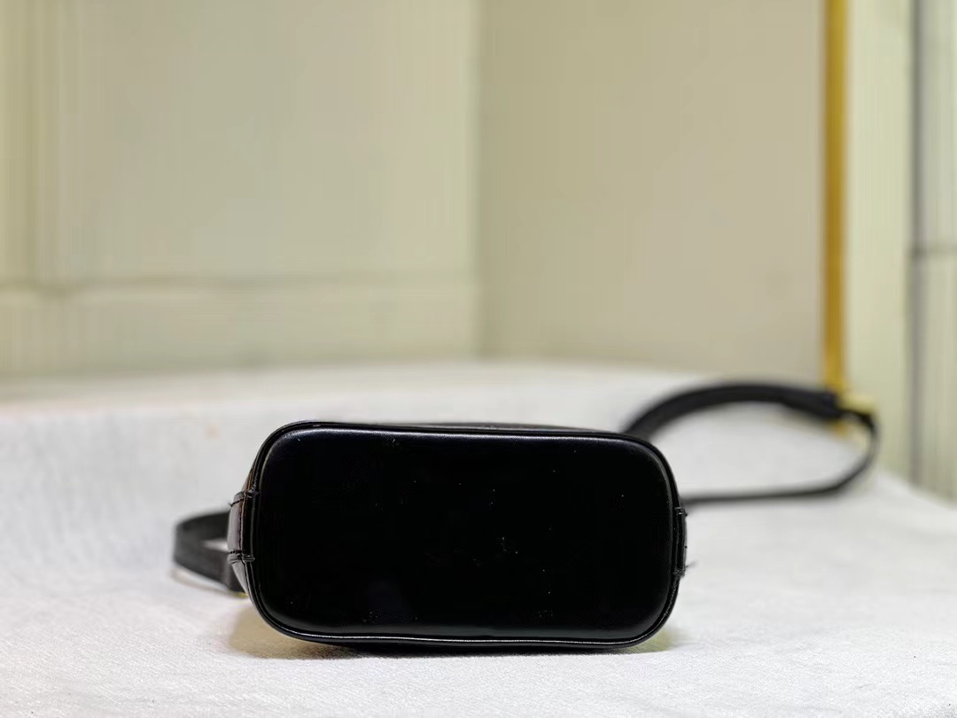 Louis Vuitton new launch nano alma bag