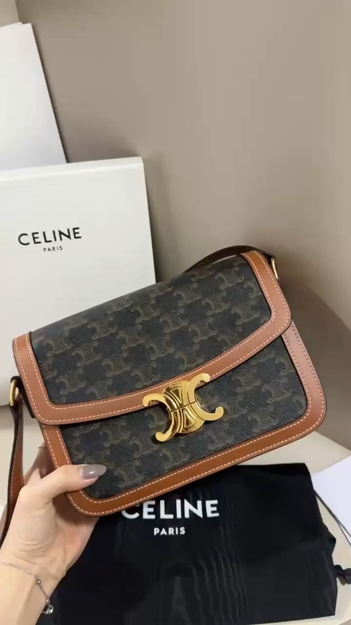 Celine triomphe  bag