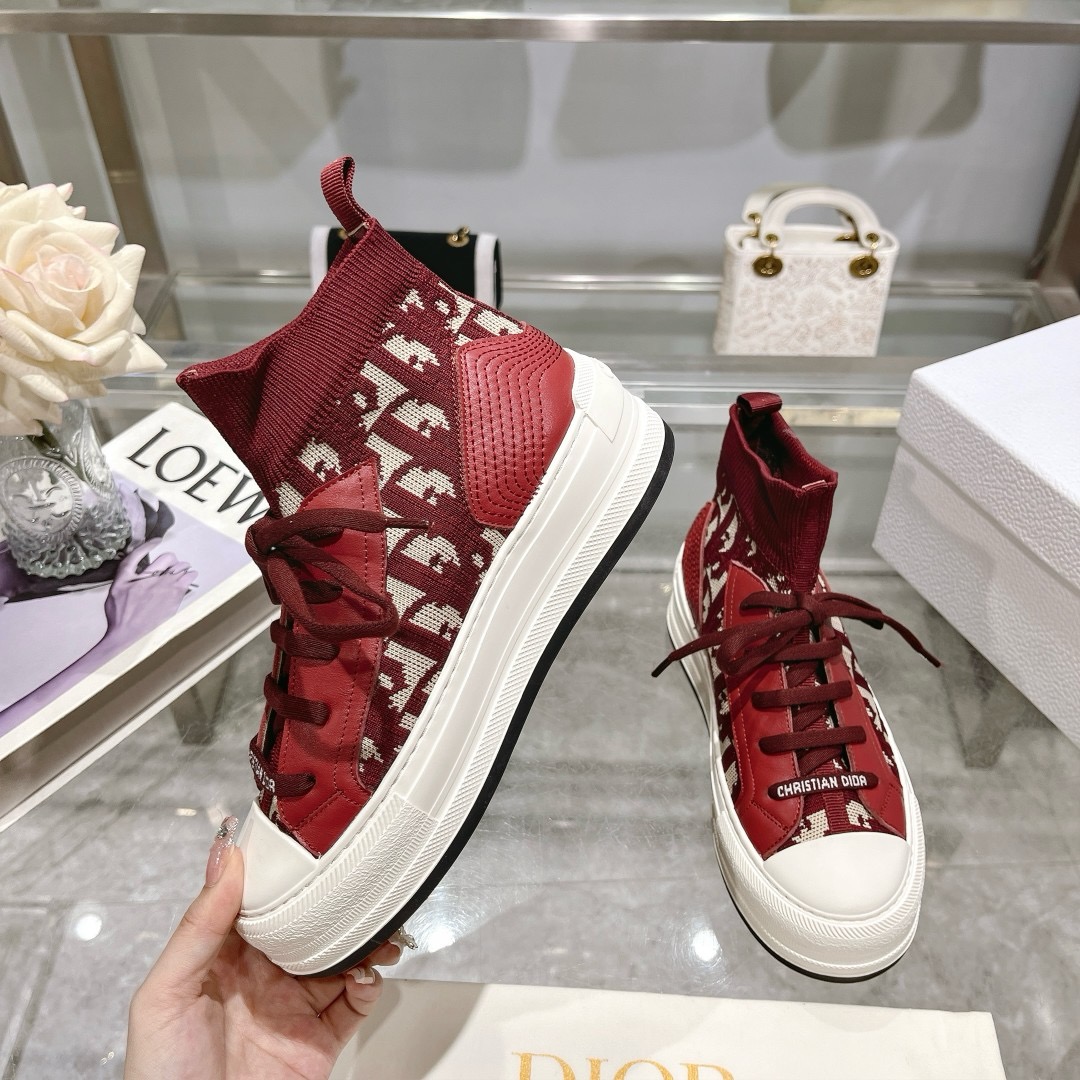 Walk’n DIOR trainers