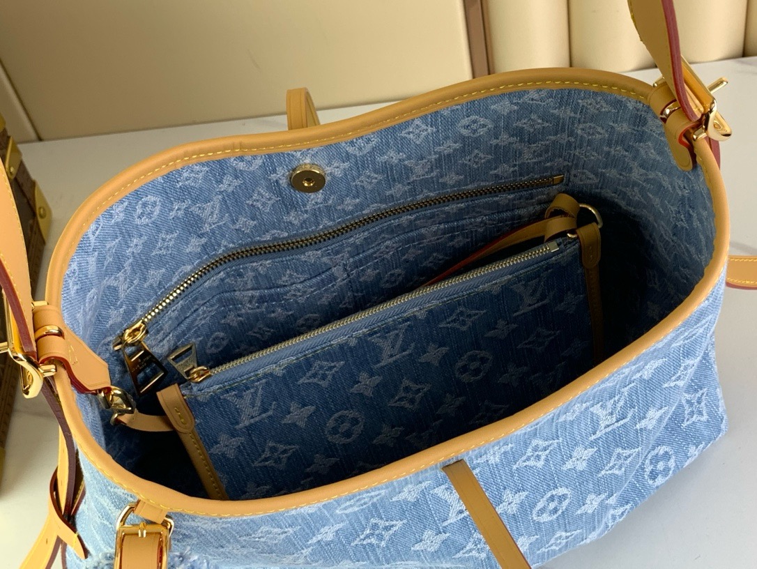 LV Carryall pm handbag